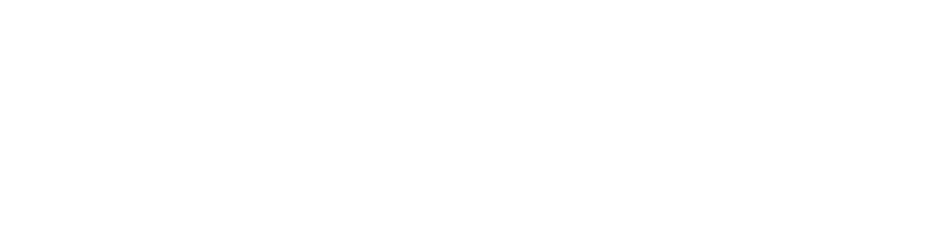 Ninja Nine